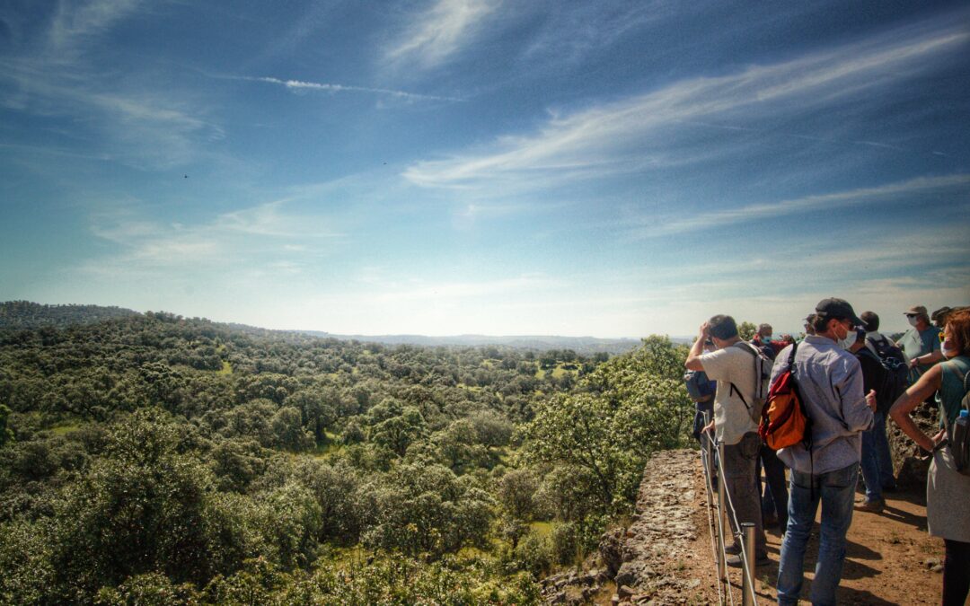 La ciudad escondida de Munigua