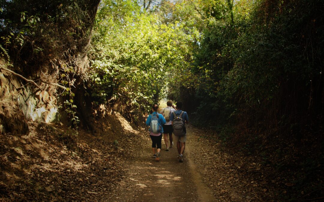 Sendero de las laderas. De ruta por el entorno Natural de Sevilla