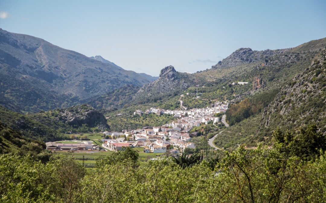 Advisory Visit the White Villages of Cadiz. Information to take into account