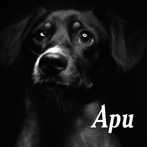 Apu. Guía de montaña