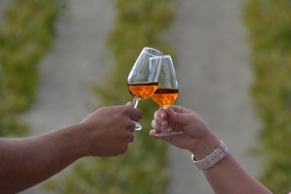 Guía de las denominaciones de vino en Andalucía